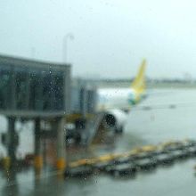 到着した雨のマクタン・セブ空港です。