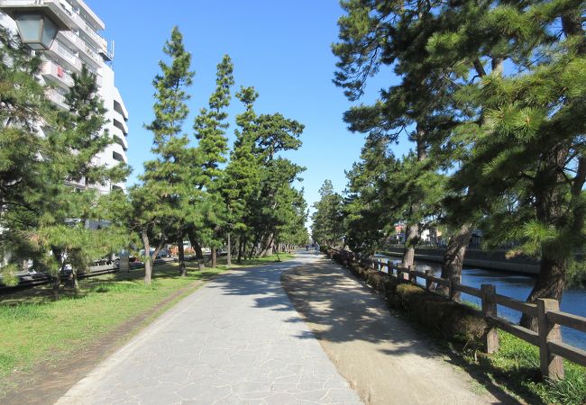 草加松原遊歩道 クチコミ アクセス 営業時間 草加 フォートラベル 草加松原遊歩道 クチコミ アクセス 営業時間 草加 フォートラベル