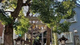 さざれ石がある