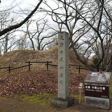 聖なる八角形だ