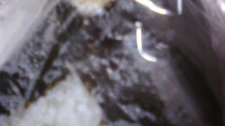 柿の葉寿司だけではない。