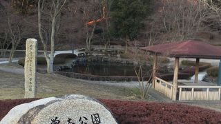 紅葉の季節外れは…