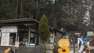 こぢんまりした動物園