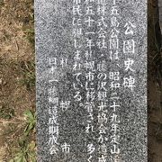 炊事広場でバーベキュー