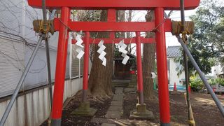 羽根木公園の北側に有る小さな神社
