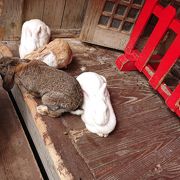 月うさぎの里 クチコミ アクセス 営業時間 加賀 フォートラベル