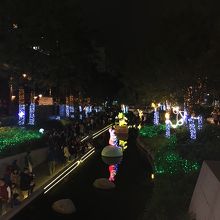 夜はライトアップがキレイ