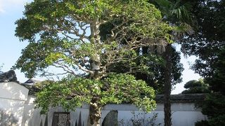 田中義一の生誕地を示す石碑が置かれているだけ。