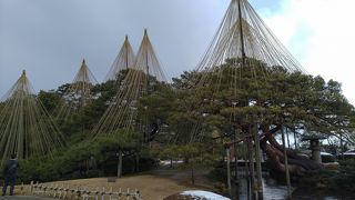 見応えあります