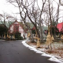 木立の中を通ってゆく雰囲気