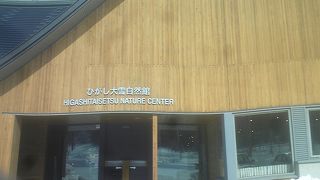 入場無料　生き物　地形の展示がいい