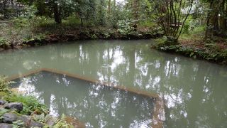 兼六園の水をためています