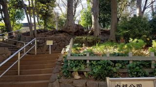 長い長い滑り台