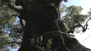 駅からも歩いて行けます