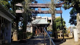 一帯に桜が多かったので