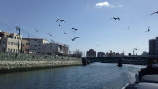 ひょうたん島クルーズで