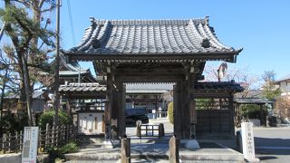 見どころが多いです