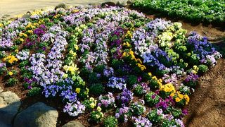 花見で有名な公園