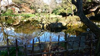 都会とは思えない静寂を味わえる公園です