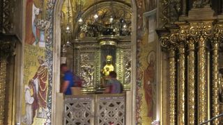 近くで見ることができます