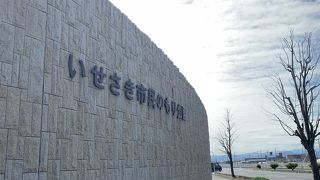 広大な土地に見事な梅の市民のもり公園