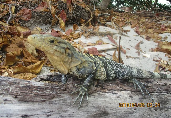 きちんと整備されている大人気の国立公園