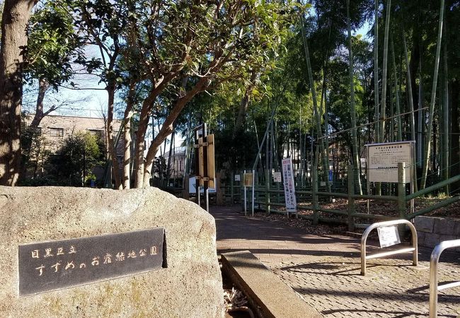 すずめのお宿緑地公園 クチコミ アクセス 営業時間 学芸大学 都立大学 フォートラベル すずめのお宿緑地公園 クチコミ アクセス 営業時間 学芸大学 都立大学 フォートラベル
