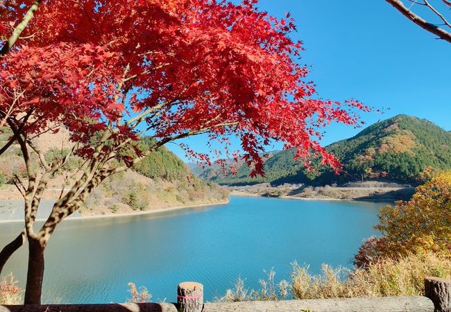 紅葉の時期、晴れた日に訪れるのはかなりオススメです!