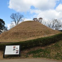 世紀の大発見だ