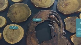 屋久島は北海道までの日本列島の植物分布があるようです