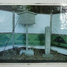 仮囲いに貼られていた写真