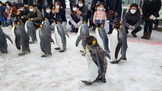 迫力あって楽しめた