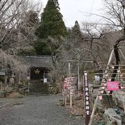 浄光寺薬師堂