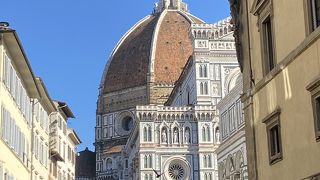 フィレンツェのシンボル