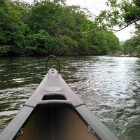 朝食前のカヌー