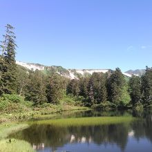 高原の沼