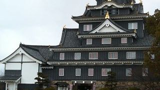 黒壁と金色のシャチホコのコントラストが見事な天守閣