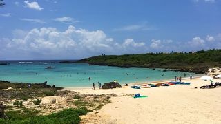 遠浅だが、近い距離に大きな珊瑚がある。
