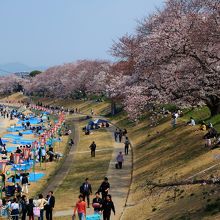 多くの人でにぎわう