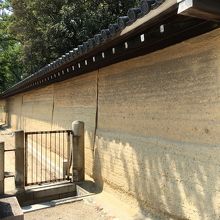 近づいて撮影。