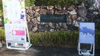 牧野富太郎博士の業績にすっかり圧倒