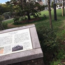 気持ちの良い開放的な公園