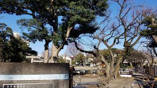 無料で釣りができる