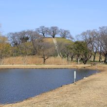 池越しに見た丸墓山古墳 です