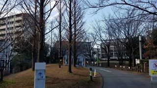 図書館や体育館、ホールなど