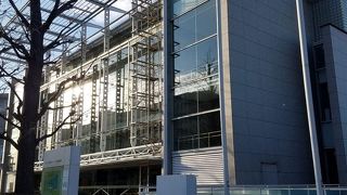 パーシモンとは柿のこと