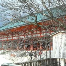 左近の桜はまだでしたが枝ぶりが見事でした。