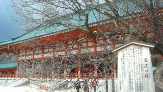 3月の橘は寒さから守るため小屋で覆われてました