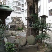 力石や富士塚など(左手が社殿)