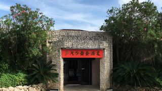 ジャングルのような露天風呂・プール。